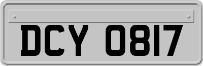 DCY0817