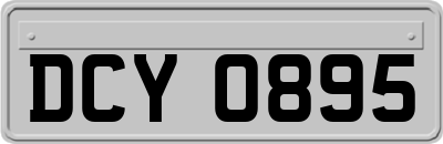DCY0895