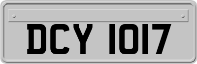 DCY1017