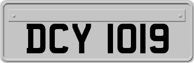 DCY1019