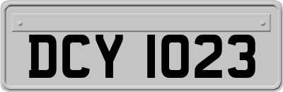 DCY1023