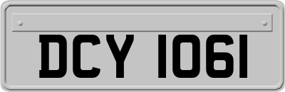 DCY1061