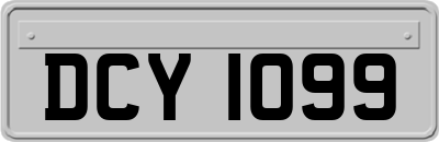 DCY1099