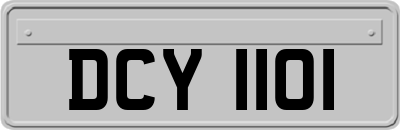 DCY1101