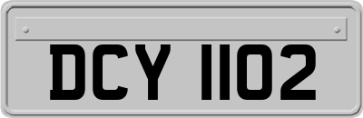 DCY1102