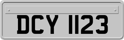 DCY1123