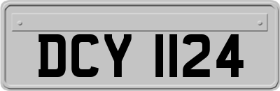 DCY1124