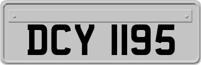 DCY1195