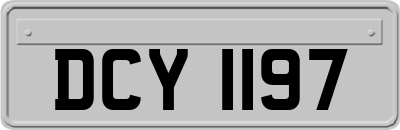DCY1197
