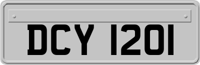 DCY1201