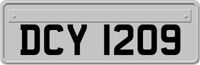 DCY1209