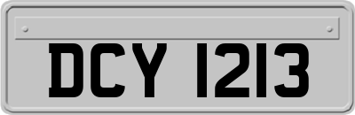 DCY1213