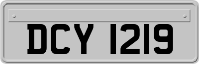 DCY1219