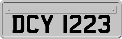 DCY1223