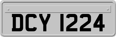 DCY1224