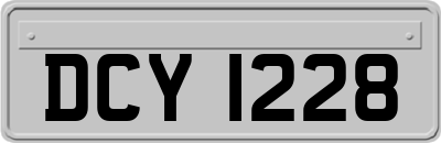 DCY1228