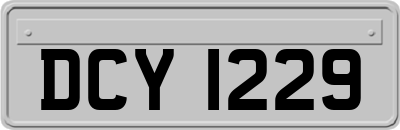 DCY1229