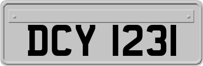 DCY1231