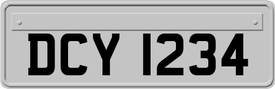 DCY1234