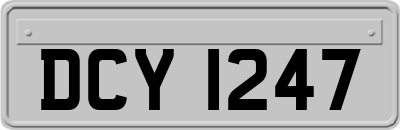 DCY1247