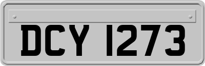 DCY1273