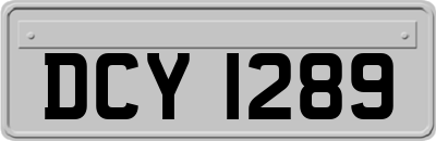 DCY1289