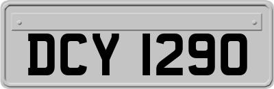 DCY1290