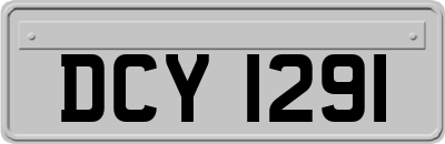 DCY1291