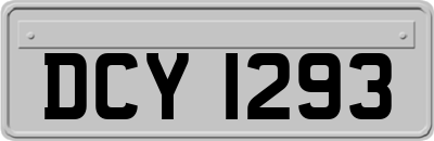 DCY1293
