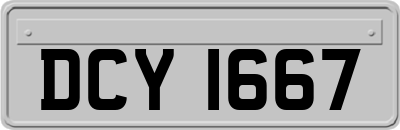 DCY1667