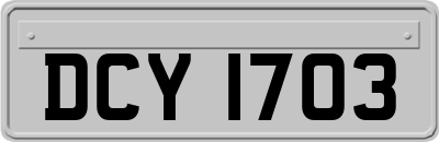 DCY1703
