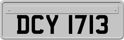 DCY1713