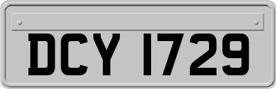 DCY1729