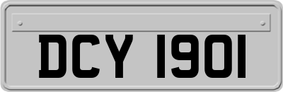 DCY1901