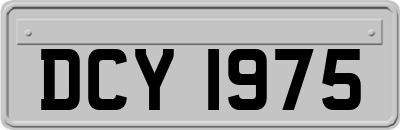 DCY1975