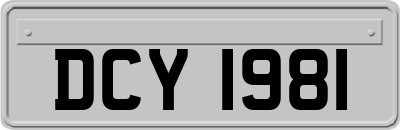 DCY1981