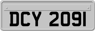 DCY2091