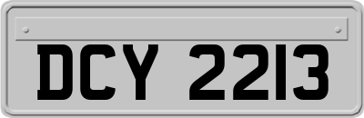 DCY2213