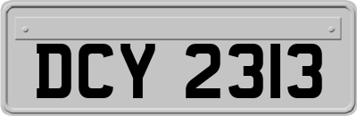 DCY2313