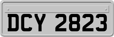 DCY2823