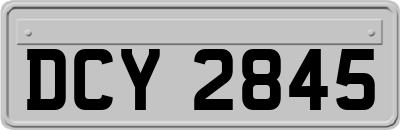 DCY2845