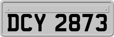 DCY2873