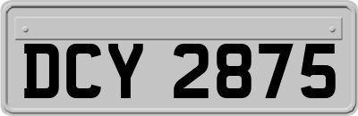 DCY2875
