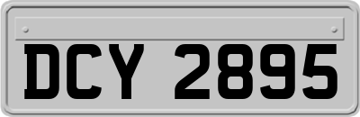 DCY2895