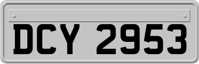 DCY2953