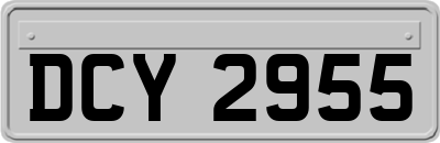 DCY2955