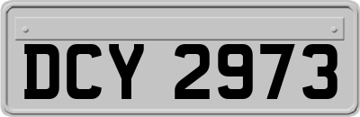 DCY2973