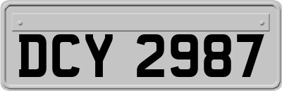 DCY2987