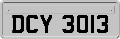 DCY3013