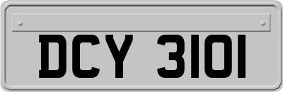 DCY3101